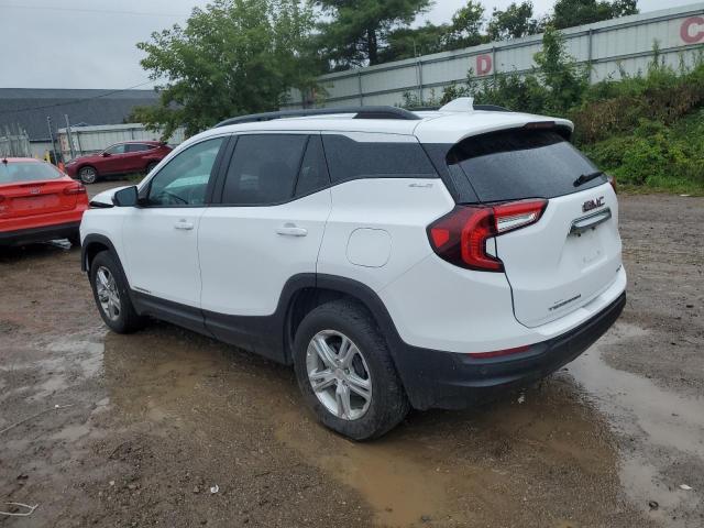 3GKALTEG3PL270845 - 2023 GMC TERRAIN SLE 白色 照片 2