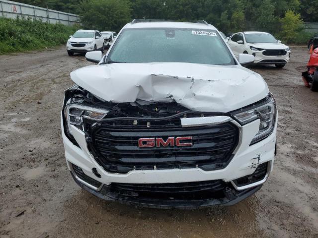3GKALTEG3PL270845 - 2023 GMC TERRAIN SLE 白色 照片 5