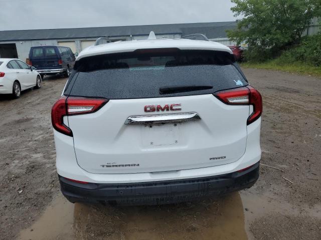 3GKALTEG3PL270845 - 2023 GMC TERRAIN SLE 白色 照片 6