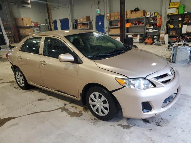 2T1BU4EE0BC754310 - 2011 TOYOTA COROLLA BASE Qızıl foto 4