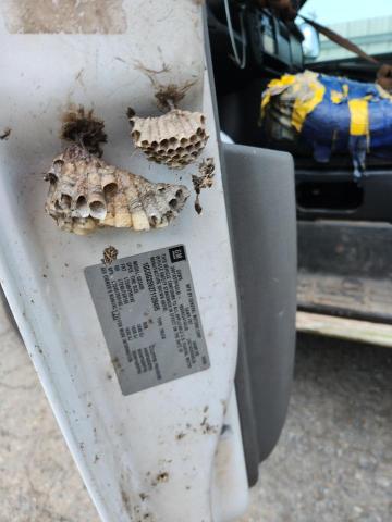 1GCGG25V271128495 - 2007 CHEVROLET EXPRESS WHITE photo 13