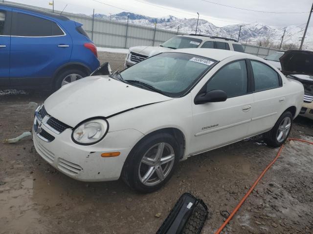 1B3ES26C95D219473 - 2005 DODGE NEON BASE WHITE photo 1