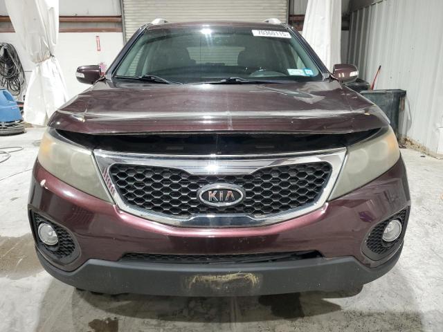 5XYKU3A10BG077440 - 2011 KIA SORENTO EX 勃艮第红 照片 5