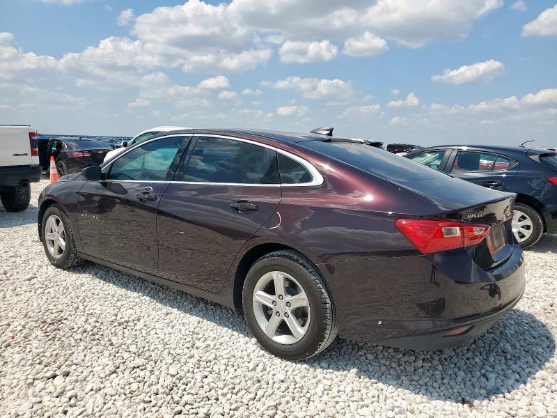 1G1ZB5ST7MF036866 - 2021 CHEVROLET MALIBU LS BURGUNDY photo 2