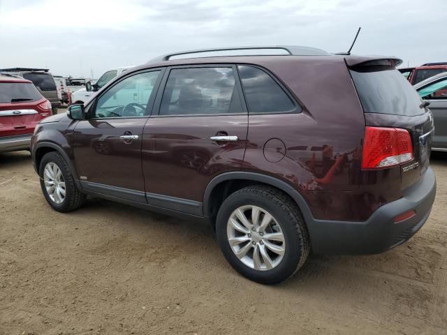 5XYKUDA29BG061459 - 2011 KIA SORENTO EX BURGUNDY photo 2