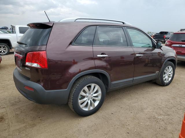 5XYKUDA29BG061459 - 2011 KIA SORENTO EX BURGUNDY photo 3