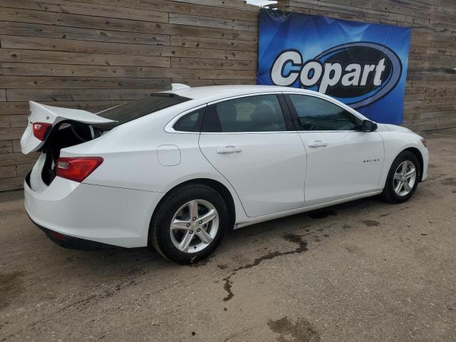 1G1ZD5ST6PF168080 - 2023 CHEVROLET MALIBU LT თეთრი ფოტო 3
