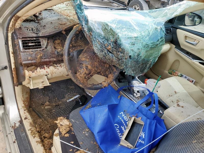 4T1BF1FK1HU735947 - 2017 TOYOTA CAMRY LE 银色 照片 8