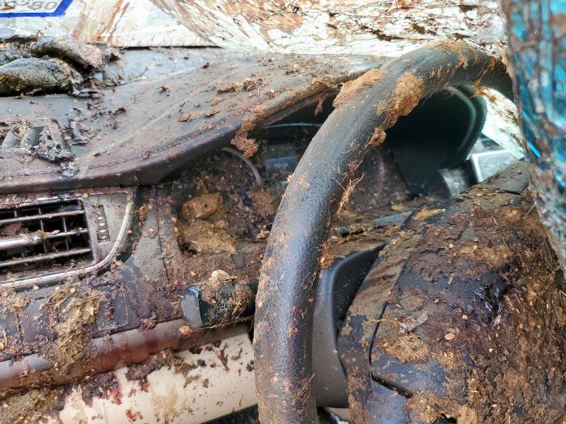 4T1BF1FK1HU735947 - 2017 TOYOTA CAMRY LE 银色 照片 9