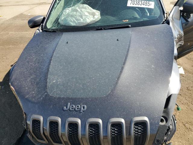 1C4PJMBS4HW644966 - 2017 JEEP CHEROKEE TRAILHAWK ნაცრისფერი ფოტო 12
