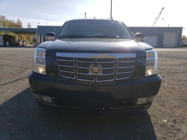 1GYFK66807R273685 - 2007 CADILLAC ESCALADE ESV BLACK photo 5