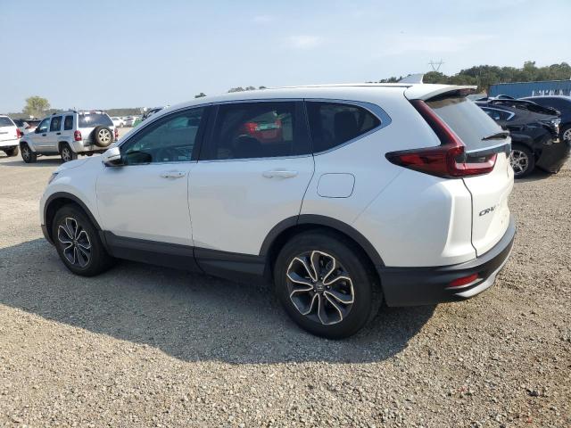 5J6RW2H54LA010623 - 2020 HONDA CR-V EX 白色 照片 2