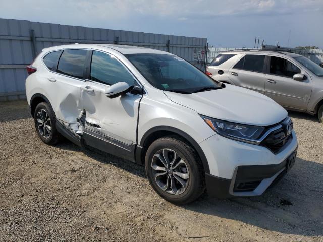 5J6RW2H54LA010623 - 2020 HONDA CR-V EX 白色 照片 4