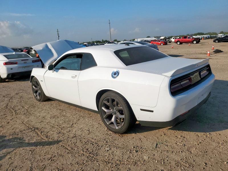 2C3CDZBT0KH573884 - 2019 DODGE CHALLENGER R/T WHITE photo 2
