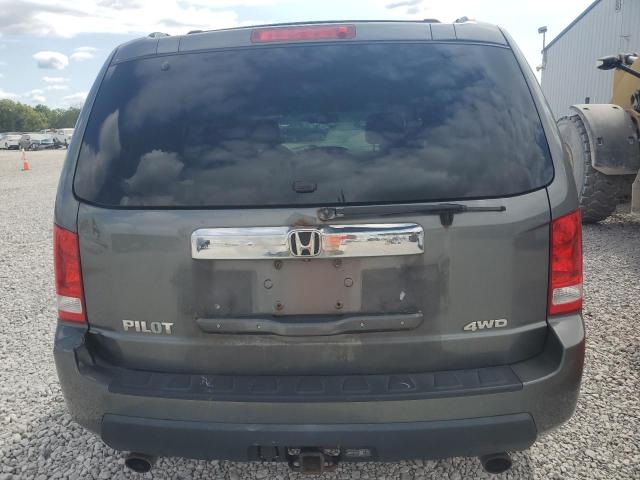 5FNYF48629B033307 - 2009 HONDA PILOT EXL Boz foto 6