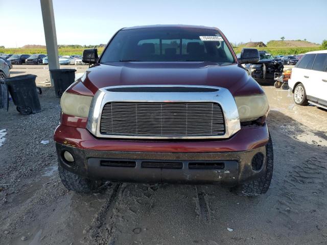 5TBRT54167S456437 - 2007 TOYOTA TUNDRA DOUBLE CAB SR5 BURGUNDY photo 5