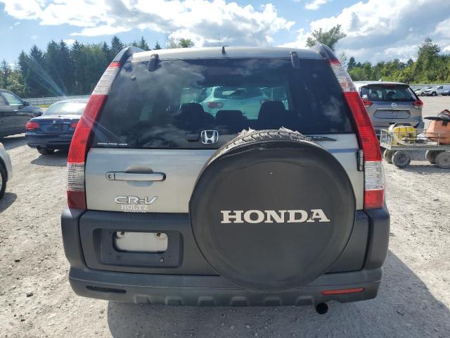 JHLRD78886C025771 - 2006 HONDA CR-V EX GRAY photo 6