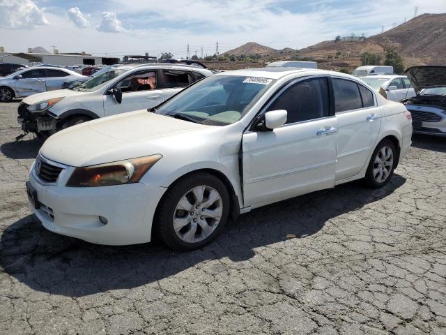 2008 HONDA ACCORD EXL, 