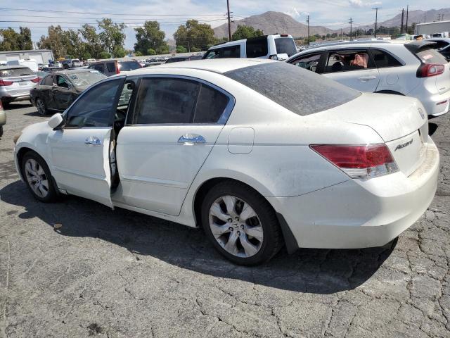 1HGCP36828A027540 - 2008 HONDA ACCORD EXL WHITE photo 2