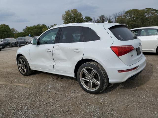 WA1WKAFPXCA091043 - 2012 AUDI Q5 PRESTIGE WHITE photo 2