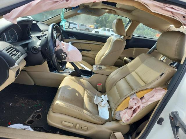 1HGCS1B87CA005096 - 2012 HONDA ACCORD EXL WHITE photo 7