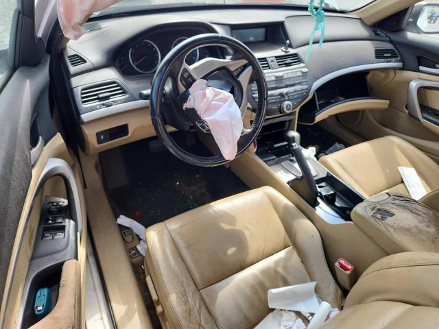 1HGCS1B87CA005096 - 2012 HONDA ACCORD EXL WHITE photo 8