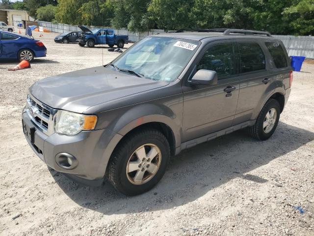 2011 FORD ESCAPE XLT, 