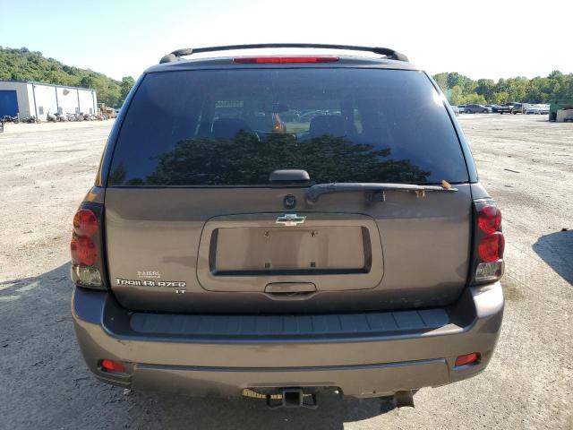 1GNDT13S482221751 - 2008 CHEVROLET TRAILBLAZE LS BROWN photo 6