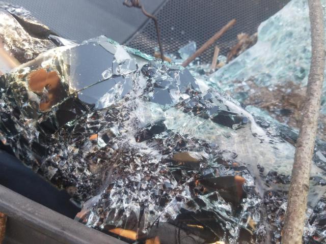 JTEBU5JR0G5382966 - 2016 TOYOTA 4RUNNER SR5/SR5 PREMIUM 白色 照片 14