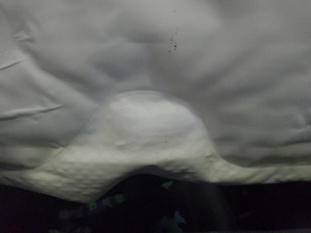 7FARW2H57KE049688 - 2019 HONDA CR-V EX 黑色 照片 11