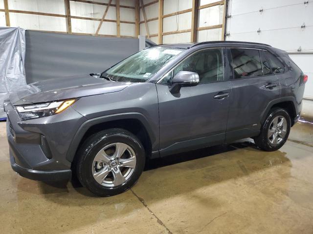 2025 TOYOTA RAV4 XLE, null