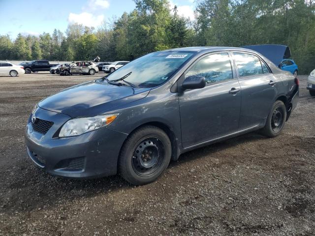 2010 TOYOTA COROLLA BASE, 
