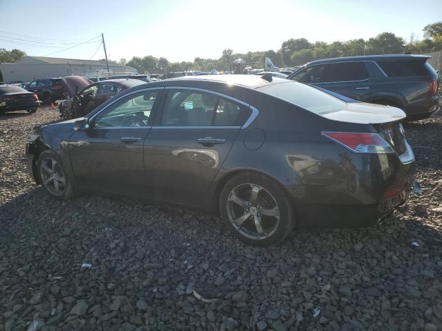 19UUA9F55AA007285 - 2010 ACURA TL GRAY photo 2