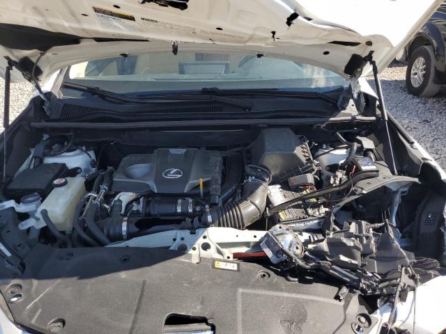 JTJBARBZ9K2198149 - 2019 LEXUS NX 300 BASE 白色 照片 11