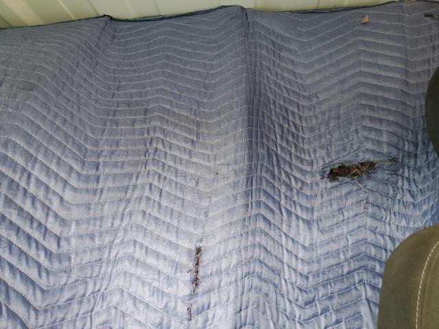 3C6LRVNG7ME516186 - 2021 RAM PROMASTER 1500 STANDARD WHITE photo 10