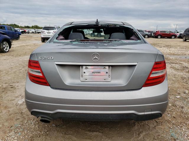 WDDGJ4HB0CF763166 - 2012 MERCEDES-BENZ C 250 SILVER photo 6