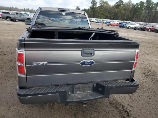 1FTEX1CW2AFD01861 - 2010 FORD F150 SUPER CAB GRAY photo 6