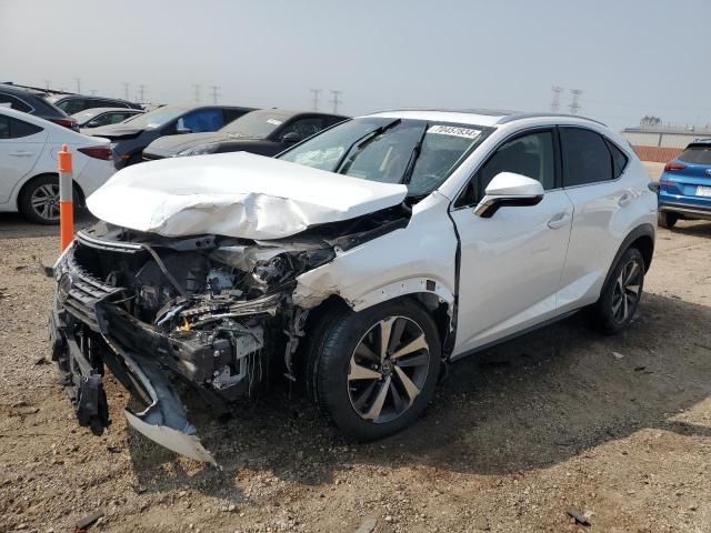 JTJBARBZ7K2205504 - 2019 LEXUS NX 300 BASE Ağ foto 1