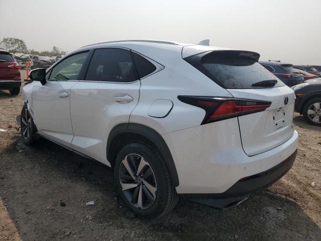 JTJBARBZ7K2205504 - 2019 LEXUS NX 300 BASE Ağ foto 2