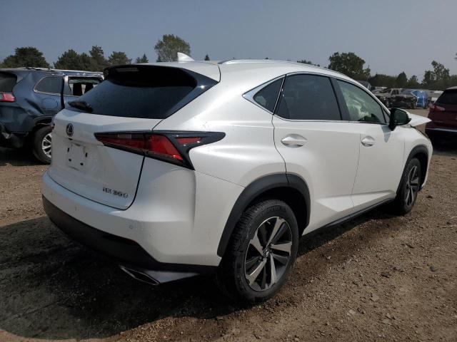 JTJBARBZ7K2205504 - 2019 LEXUS NX 300 BASE Ağ foto 3