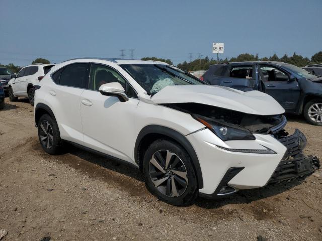 JTJBARBZ7K2205504 - 2019 LEXUS NX 300 BASE Ağ foto 4