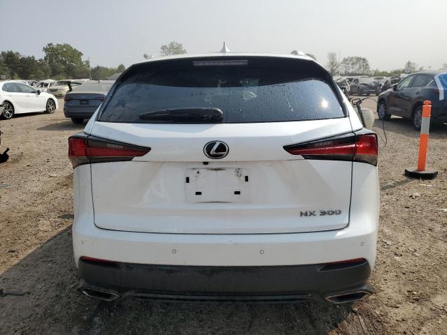 JTJBARBZ7K2205504 - 2019 LEXUS NX 300 BASE WHITE photo 6