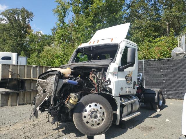 3AKBHKDV2PDUD5028 - 2023 FREIGHTLINER CASCADIA 1 WHITE photo 2