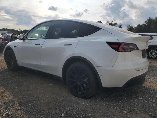 5YJYGDEE1MF071385 - 2021 TESLA MODEL Y WHITE photo 2