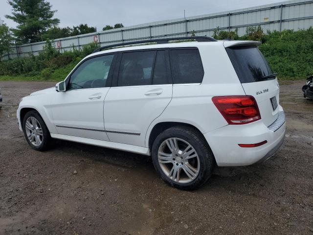 WDCGG8JB4EG336591 - 2014 MERCEDES-BENZ GLK 350 4MATIC WHITE photo 2