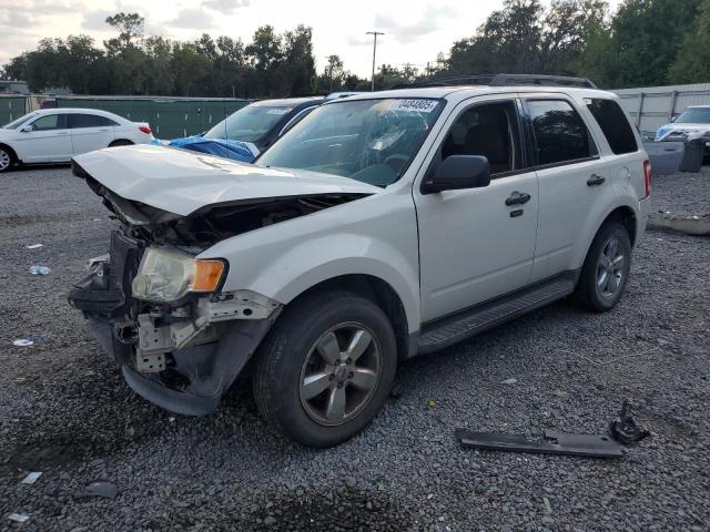 2010 FORD ESCAPE XLT, 