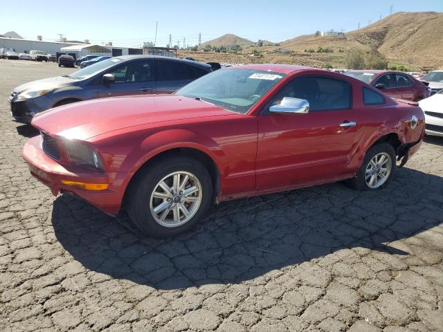 1ZVHT80N985102994 - 2008 FORD MUSTANG RED photo 1