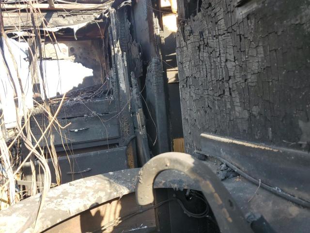 1RF14571441026677 - 2004 ROADMASTER RAIL MONOCOQUE Коричневий фото 6