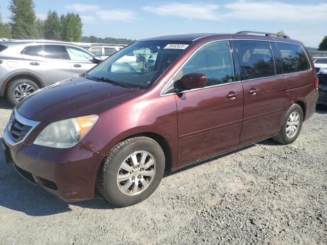 2010 HONDA ODYSSEY EXL, 