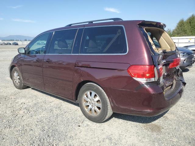5FNRL3H76AB097886 - 2010 HONDA ODYSSEY EXL ბურგუნდია ფოტო 2
